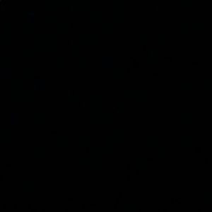 Meet your Posher, Lillian